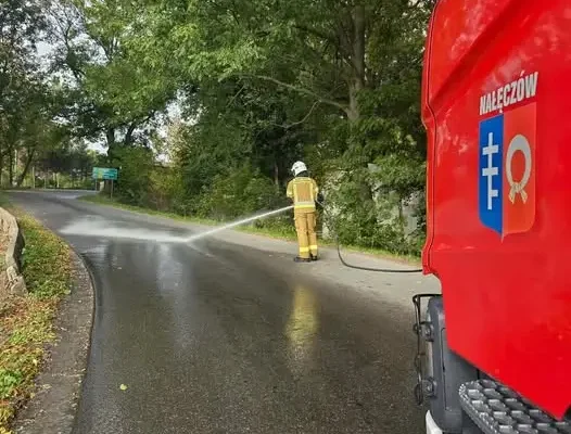 Plama ropopochodna w Sadurkach. Interweniowały dwa zastępy straży pożarnej